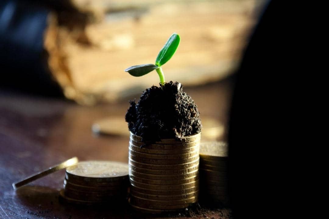 melhores investimentos em renda fixa